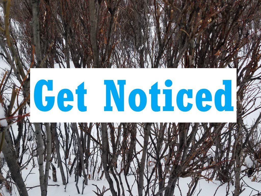 Get Noticed — Website Development SEO